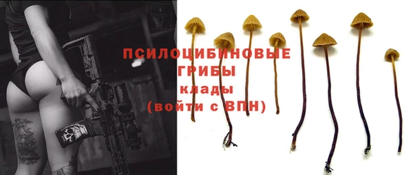 экстази Нея